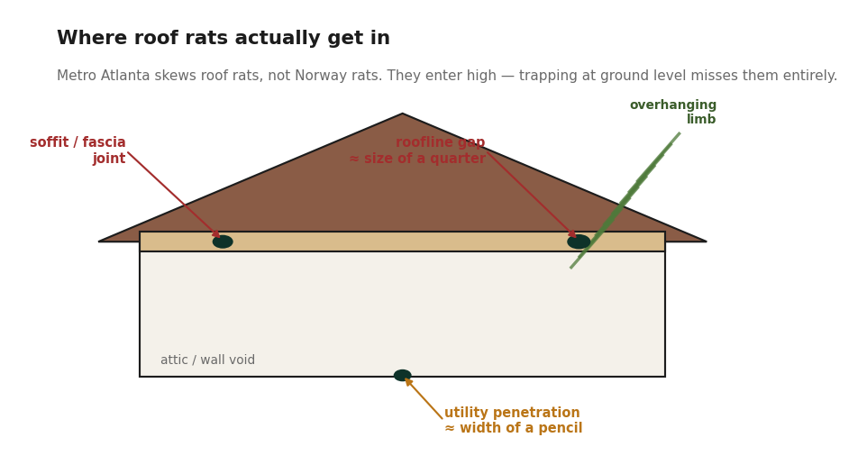Diagram showing where roof rats enter a house: roofline gaps, soffit joints and utility penetrations