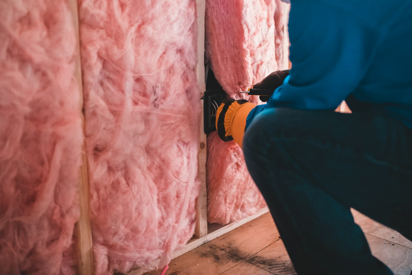 Fiberglass insulation between attic framing, where tunneling and soiling show how long animals have been overhead
