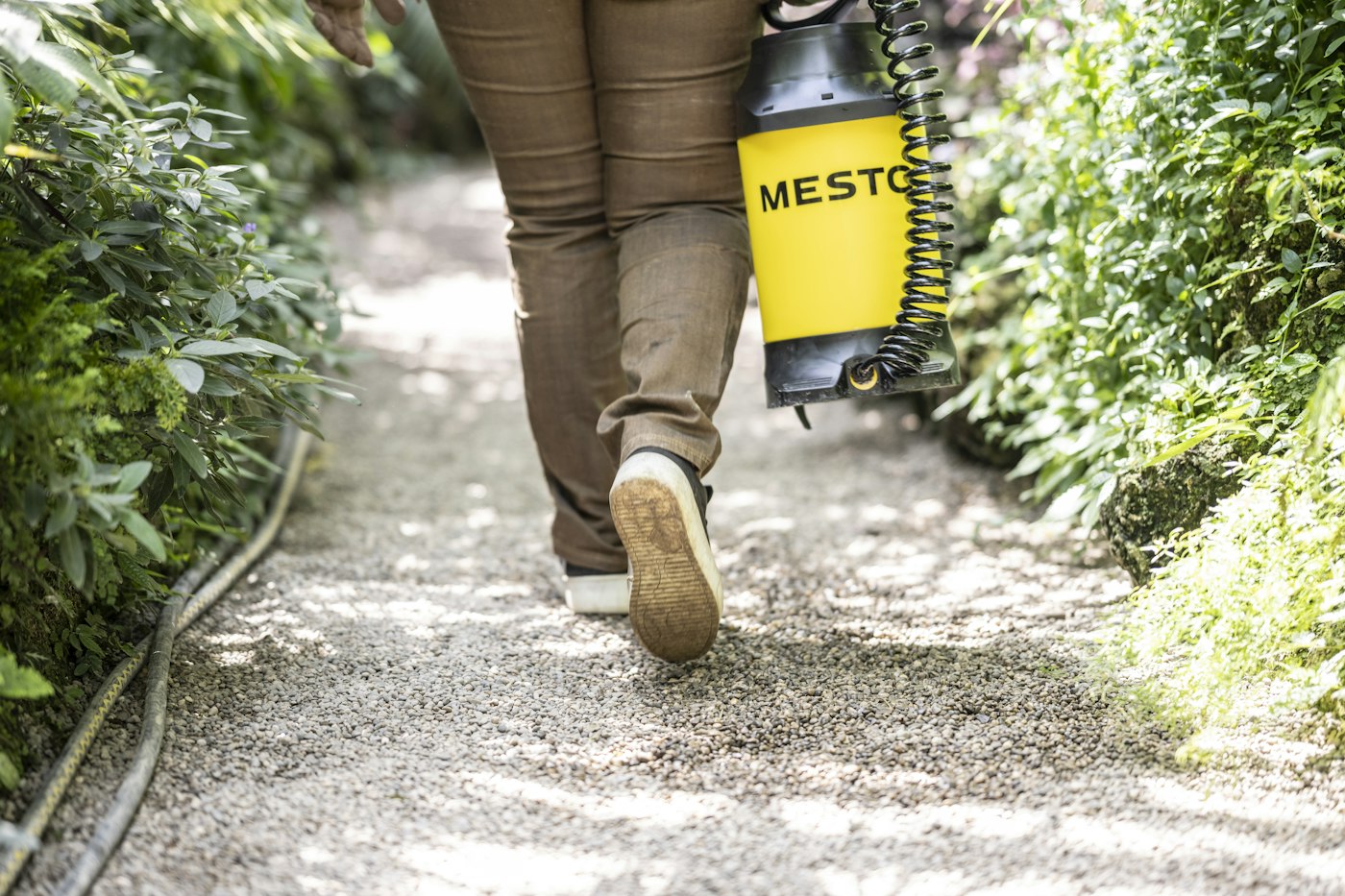 A technician walking a garden path with a backpack sprayer, treating shrubs and shaded resting sites