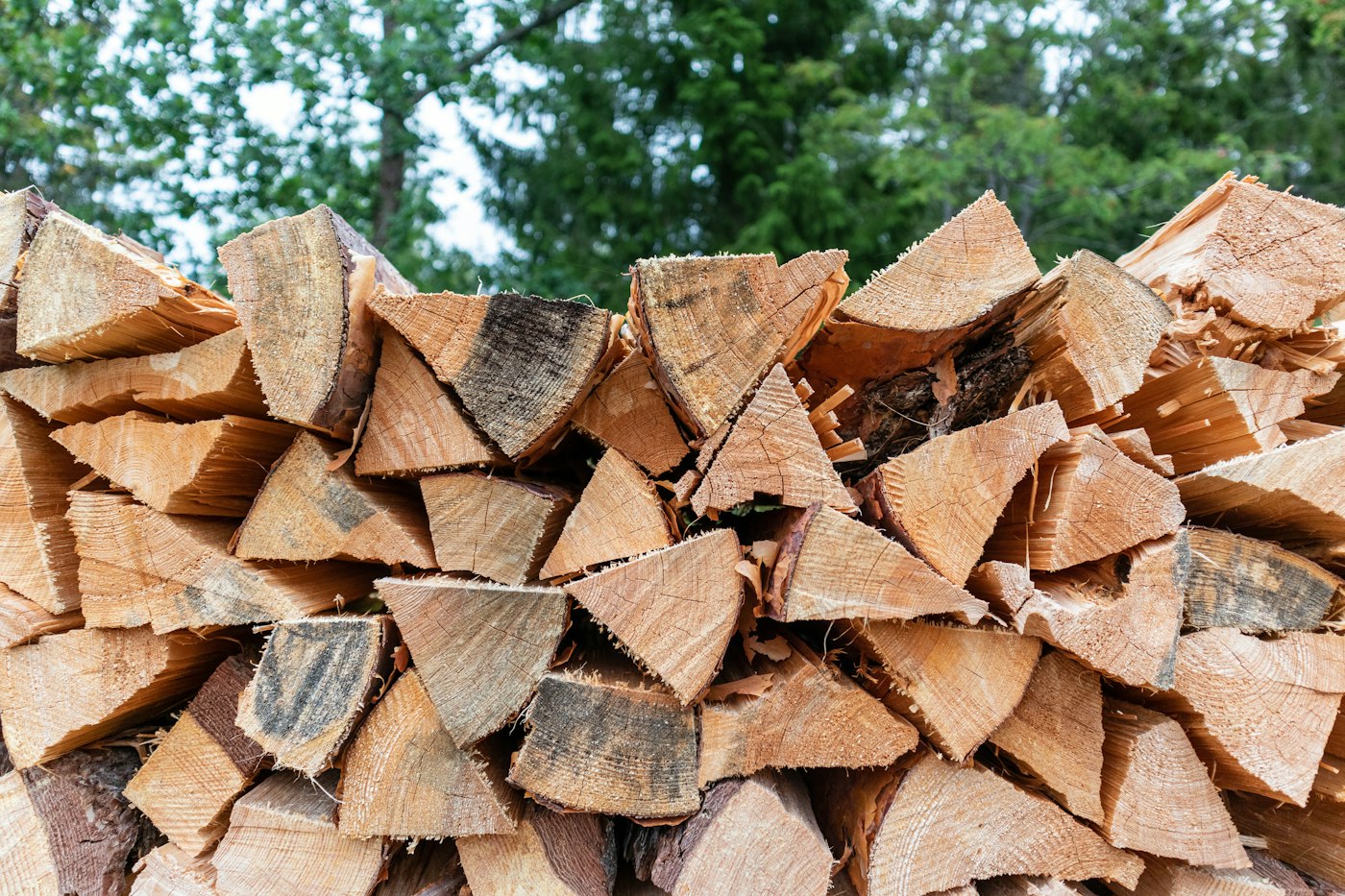 A stack of split firewood, the kind of wood pile that bridges treated soil when stored against a house wall